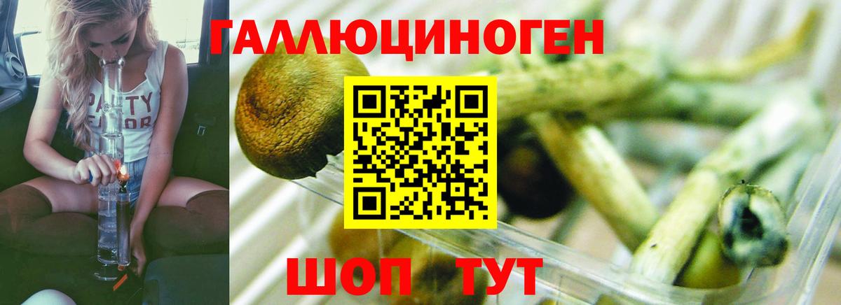 Псилоцибиновые грибы мицелий Холмск